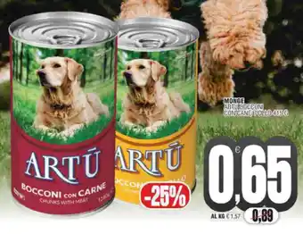 Monge artuibocconi con cane/ pollo