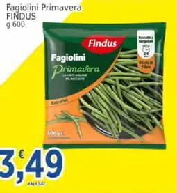 Market Ingross Fagiolini Primavera Findus offerta