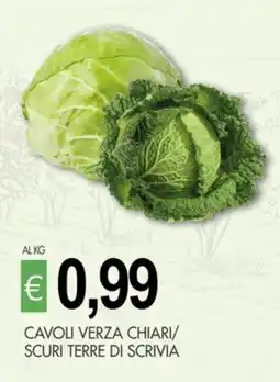 PrestoFresco Cavoli verza chiari/ scuri terre di scrivia offerta
