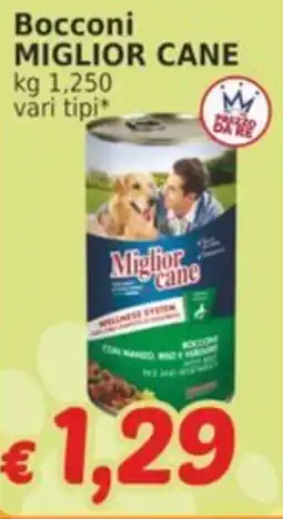 Market Ingross Bocconi Miglior Cane offerta