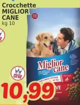 Market Ingross Crocchette Miglior Cane offerta