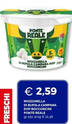 Maxisconto Ponte Reale Mozzarella di Bufala Campana DOP Bocconcini offerta
