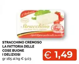 Mercatò Extra Stracchino cremoso La fattoria delle cose buone i deliziosi offerta