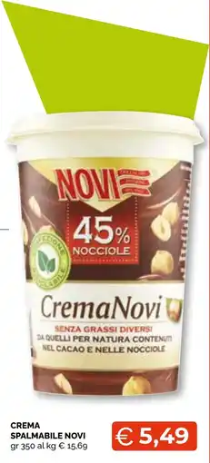Mercatò Big Crema spalmabile Novi offerta