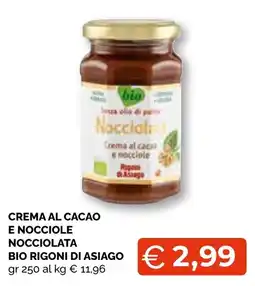 Mercatò Big Crema al cacao e nocciole nocciolata bio Rigoni di Asiago offerta