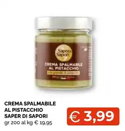 Mercatò Big Crema spalmabile al pistacchio Saper di sapori offerta