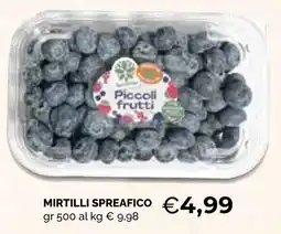 Mercatò Big Piccoli frutti Mirtilli Spreafico offerta
