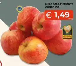 Mercatò Big Mele Gala Piemonte Cuneo IGP offerta
