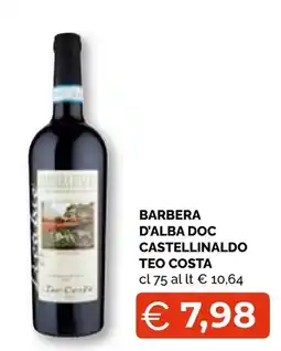 Mercatò Big Barbera d'Alba Doc Castellinaldo Teo Costa offerta