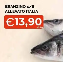 Mercatò Extra Branzino offerta