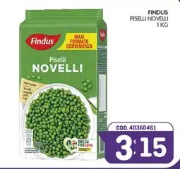 Eurocash Findus Piselli Novelli offerta
