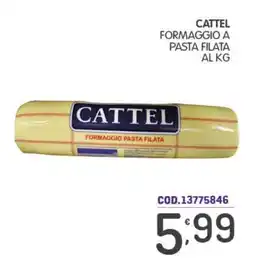Eurocash Cattel formaggio pasta filata offerta