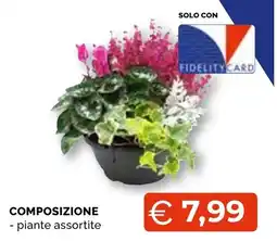 Mercatò Big piante assortite offerta