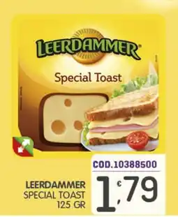 Eurocash Leerdammer Special Toast offerta