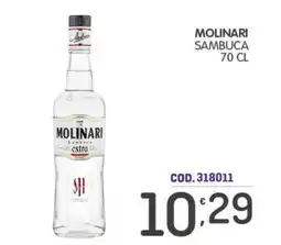 Eurocash Molinari Sambuca extra offerta