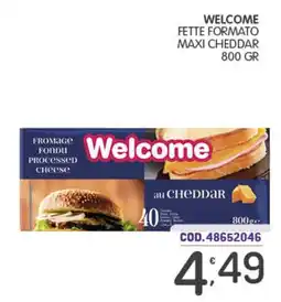 Eurocash Welcome fette formato maxi cheddar offerta