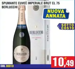 Immenso Cash Spumante cuveè imperiale brut Berlucchi offerta