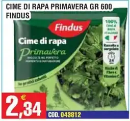 Immenso Cash Cime di rapa Primavera Findus offerta
