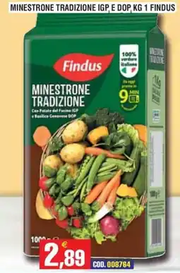 Immenso Cash Minestrone tradizione Findus offerta