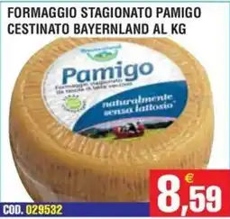 Immenso Cash Formaggio stagionato Pamigo offerta