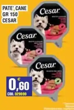 Immenso Cash Pate' cane Cesar offerta