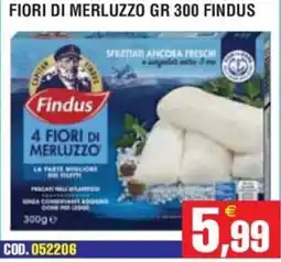 Immenso Cash Findus 4 Fiori di Merluzzo offerta