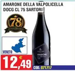 Immenso Cash Amarone della Valpolicella DOCG Sartori offerta