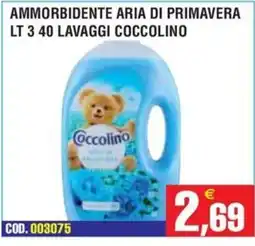Immenso Cash Ammorbidente aria di primavera coccolino offerta