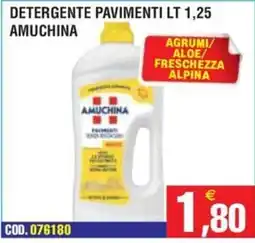 Immenso Cash Detergente pavimenti Amuchina offerta