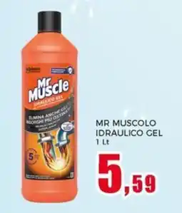 Happy Casa Mr Muscle idraulico gel offerta