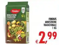 Deco Maxistore Findus Minestrone Tradizionale offerta
