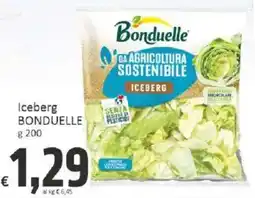 Paghi Poco Iceberg Bonduelle offerta