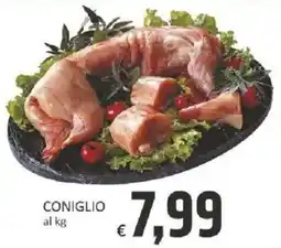 Paghi Poco Coniglio offerta