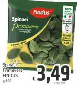 Paghi Poco Spinaci Primavera Findus offerta