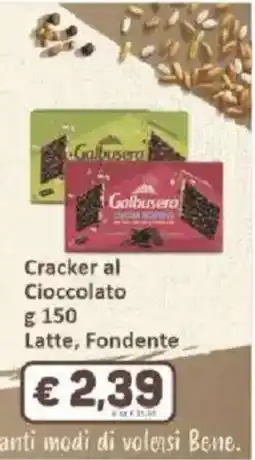 Paghi Poco Cracker al Cioccolato Gaibusera offerta