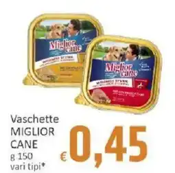 Paghi Poco Vaschette Miglior Cane offerta