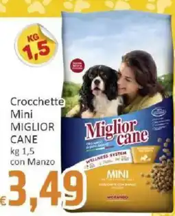 Paghi Poco Crocchette Mini Miglior Cane offerta