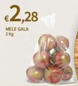 SpeSì Mele Gala offerta