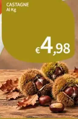 SpeSì Castagne offerta