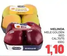 Eté Melinda mele golden red offerta
