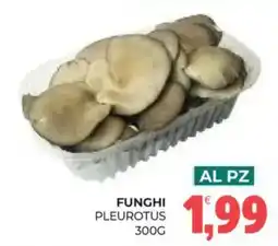 Eté Funghi Pleurotus offerta