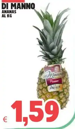 Eté Ananas di Manno offerta