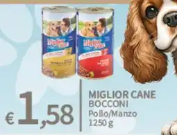 SpeSì Miglior Cane Bocconi offerta