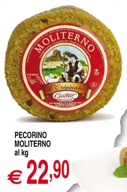 Centro Oceano Pecorino Moliterno offerta