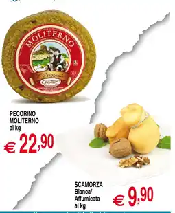 Centro Oceano Pecorino Moliterno offerta