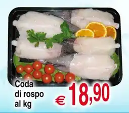 Centro Oceano Coda di rospo offerta
