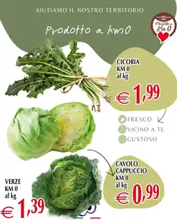 Centro Oceano Cicoria KM 0 offerta