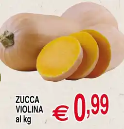 Centro Oceano Zucca violina offerta