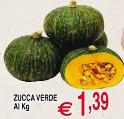 Centro Oceano Zucca Verde offerta