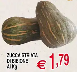 Centro Oceano Zucca striata di bibione offerta